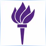 New York University